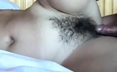 Cock plays with hairy pussy