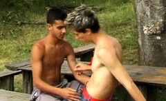 Passionate twinks make out alfresco