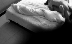 Amateur Couple Hidden Cam