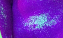 Stacked brunette goes solo toys and masturbation