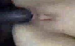Homemade Husband and Wife Fucking pp