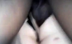 Black Studs Bareback Chubby Crossdressers