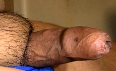 Fat Asian Bear's Erection