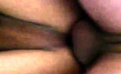 Amateur Bareback Daddy